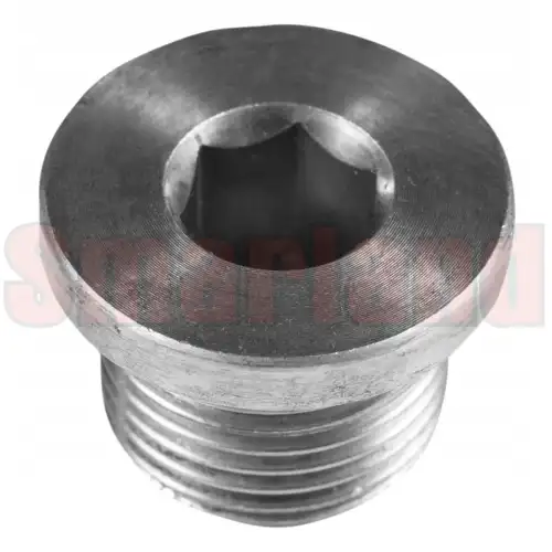 Korek hydrauliczny gwintowany 3/8" z gniazdem imbusowym z kołnierzem A4 kwasoodporny - smarland.pl