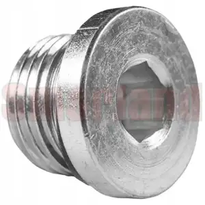 Korek gwintowany 1/8" BSP z gniazdem imbusowym z kołnierzem z uszczelką gumową
